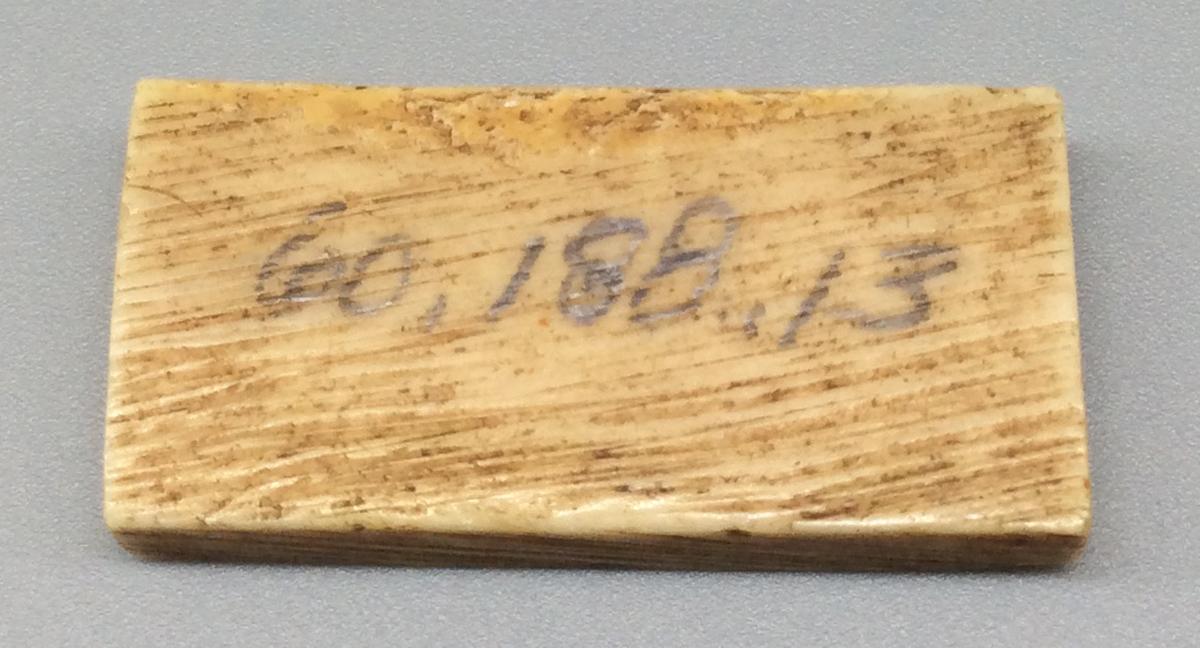 1960.0188.013 Domino, view 2