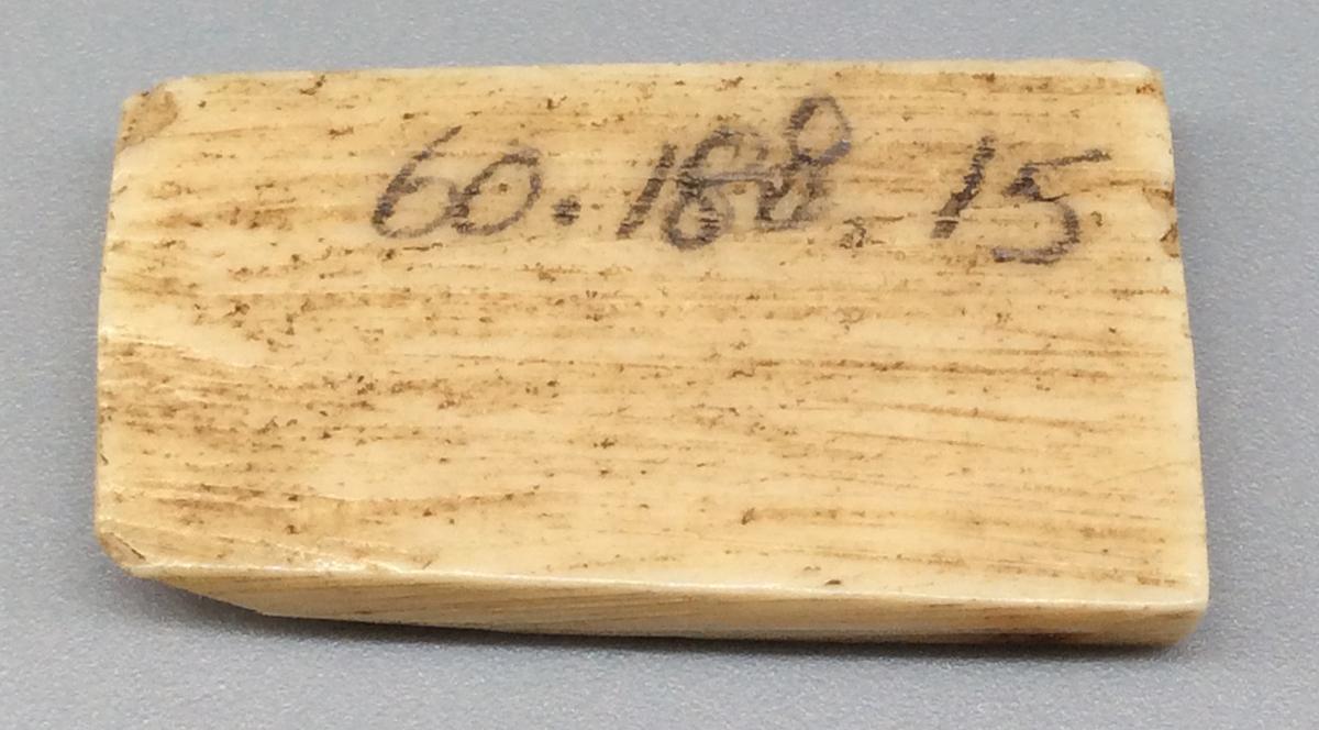 1960.0188.015 Domino, view 2