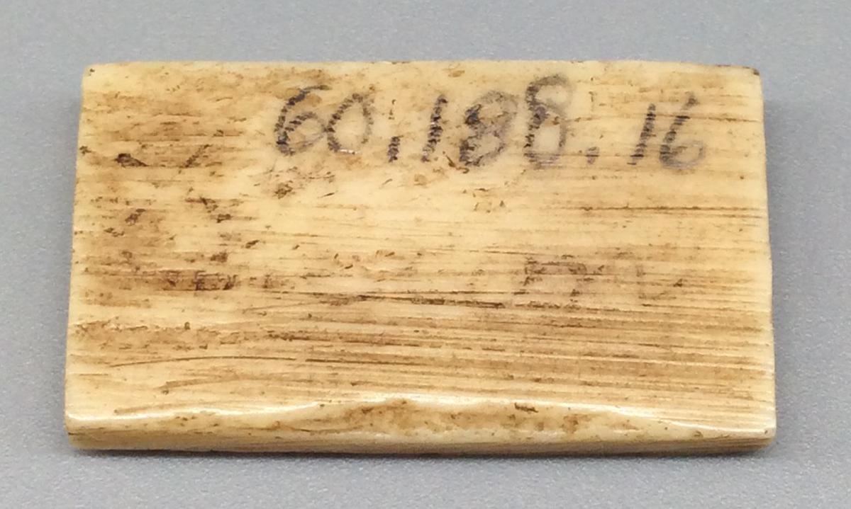 1960.0188.016 Domino, view 2