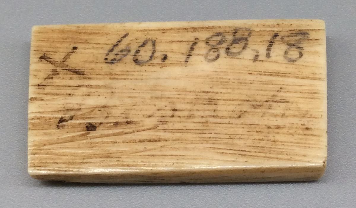 1960.0188.018 Domino, view 2