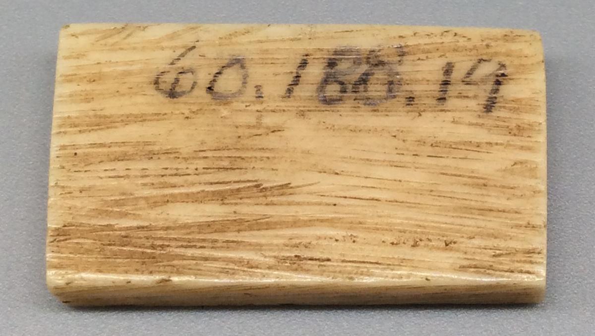 1960.0188.019 Domino, view 2