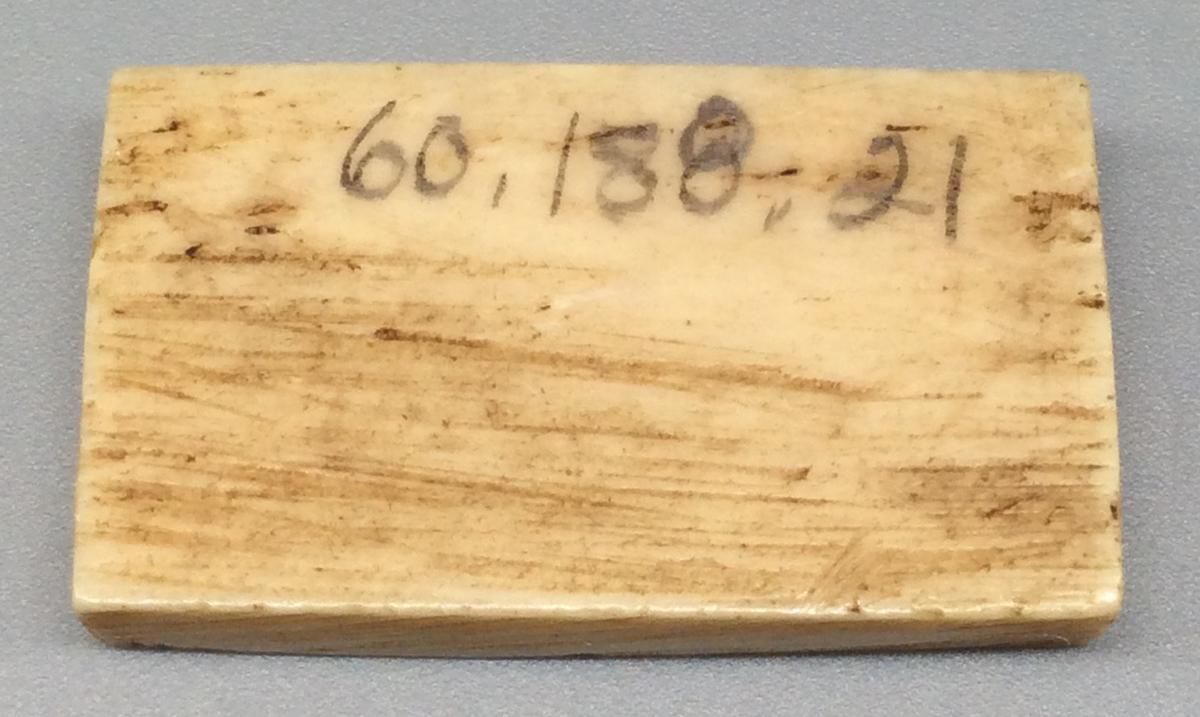 1960.0188.021 Domino, view 2