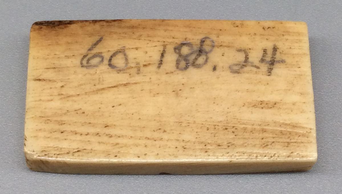 1960.0188.024 Domino, view 2