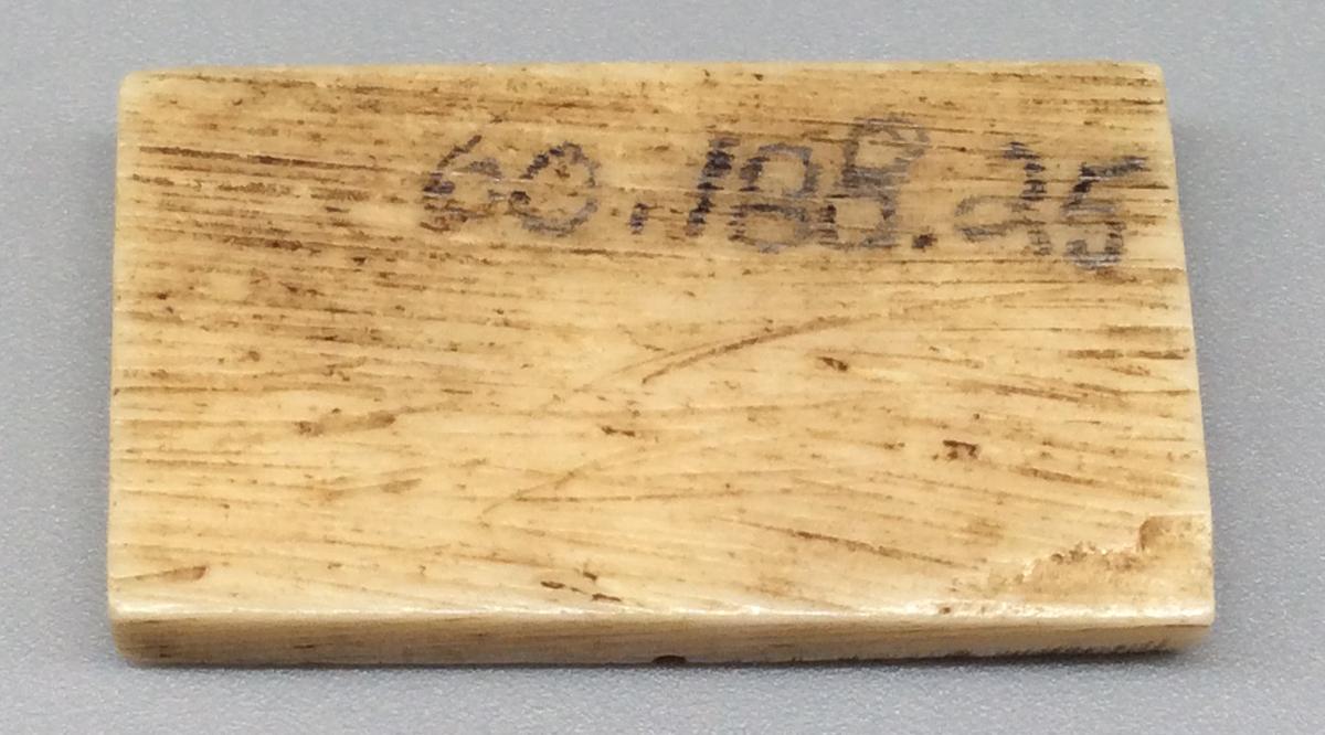 1960.0188.025 Domino, view 2