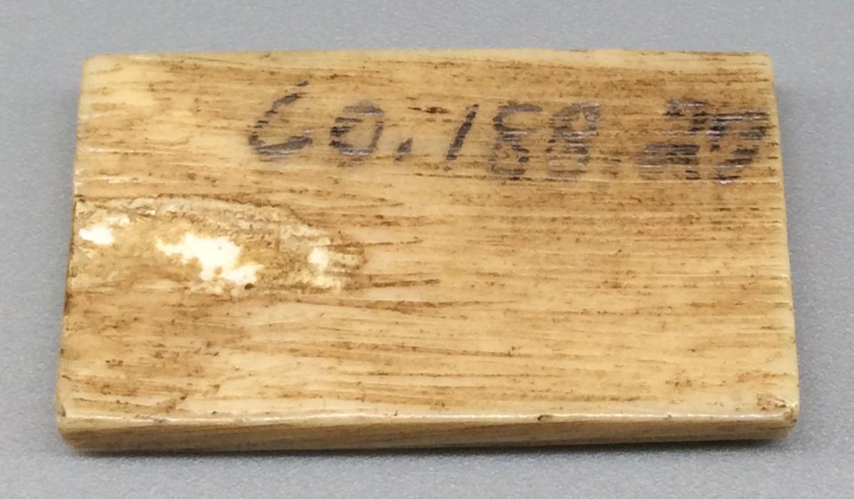 1960.0188.027 Domino, view 2