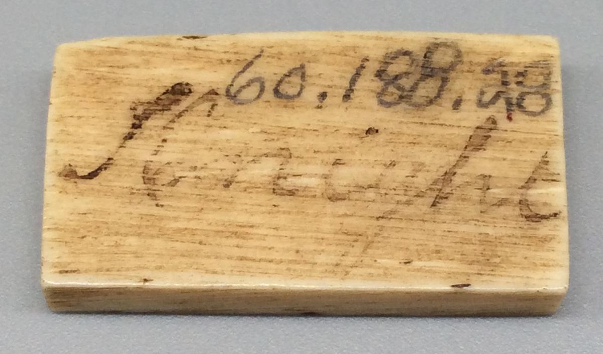 1960.0188.028 Domino, view 2