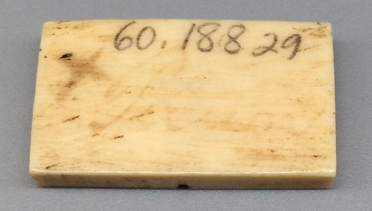 1960.0188.029 Domino, view 2