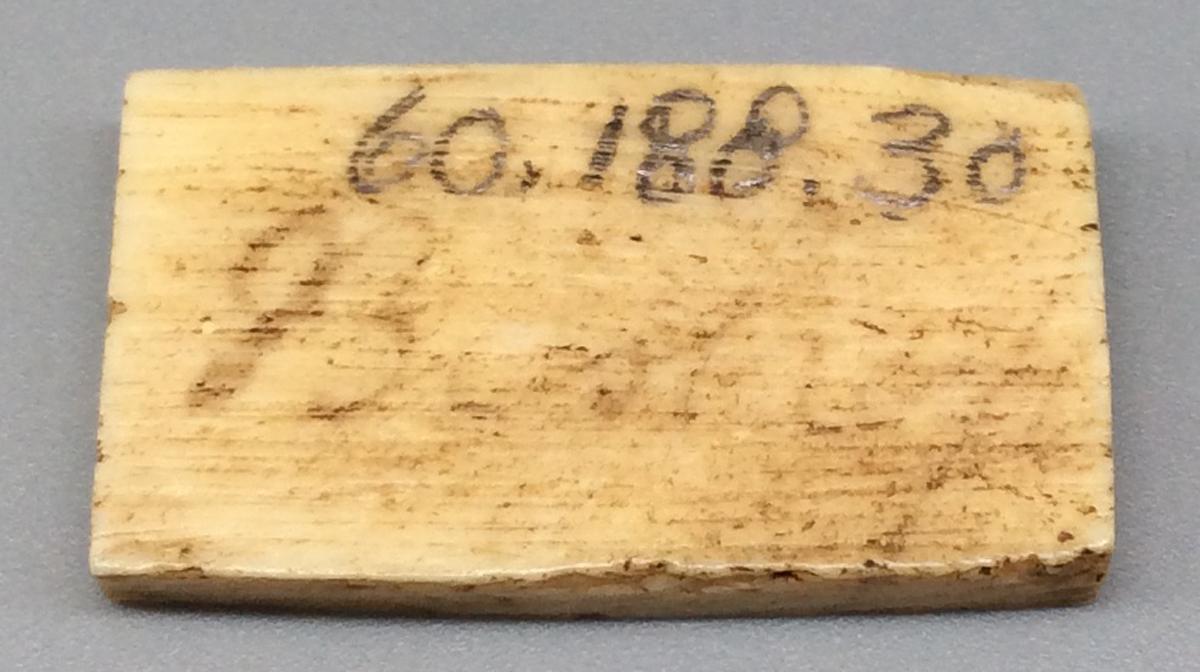 1960.0188.030 Domino, view 2