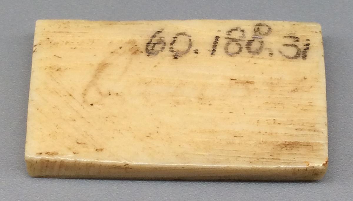 1960.0188.031 Domino, view 2