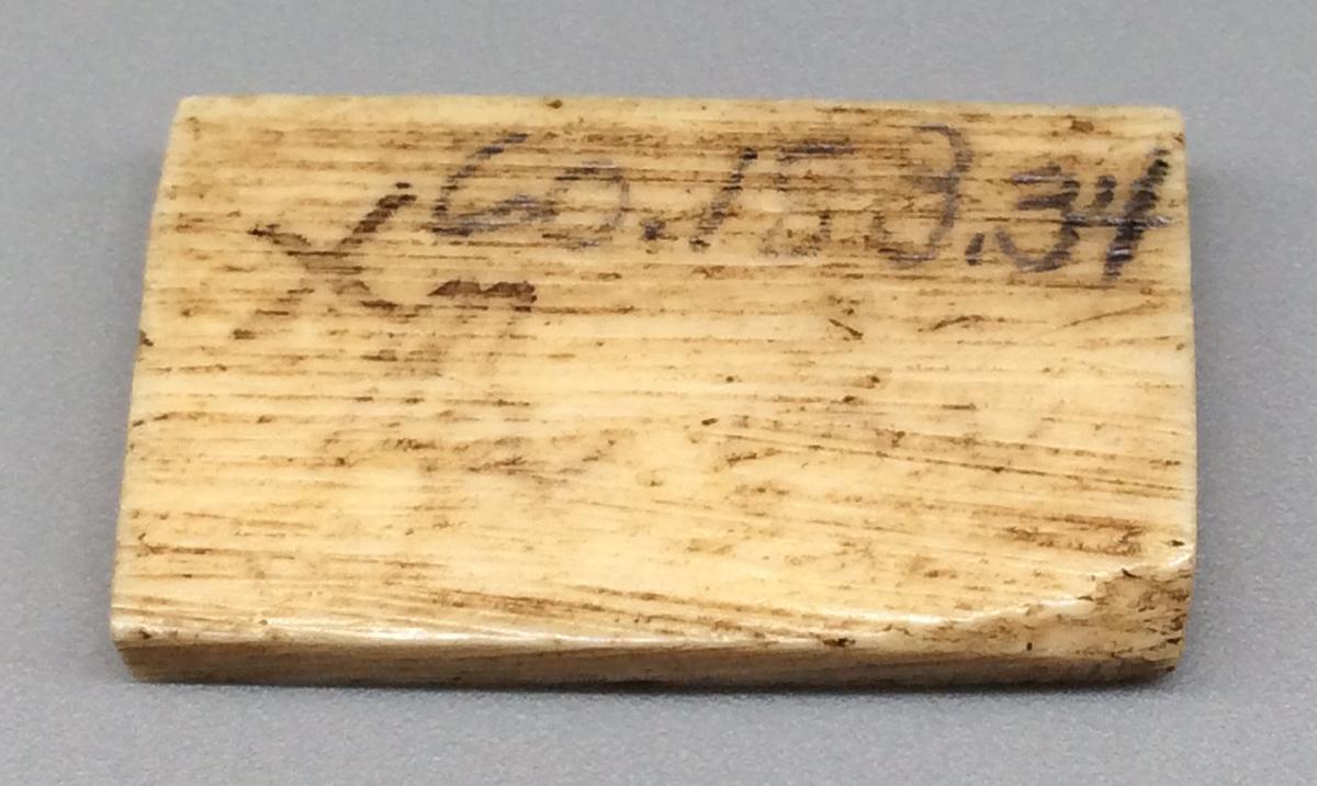1960.0188.034 Domino, view 2