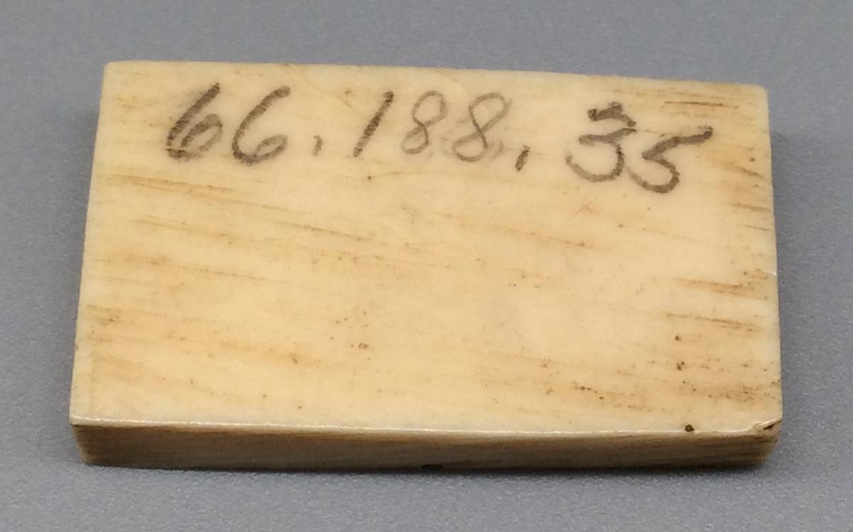1960.0188.035 Domino, view 2