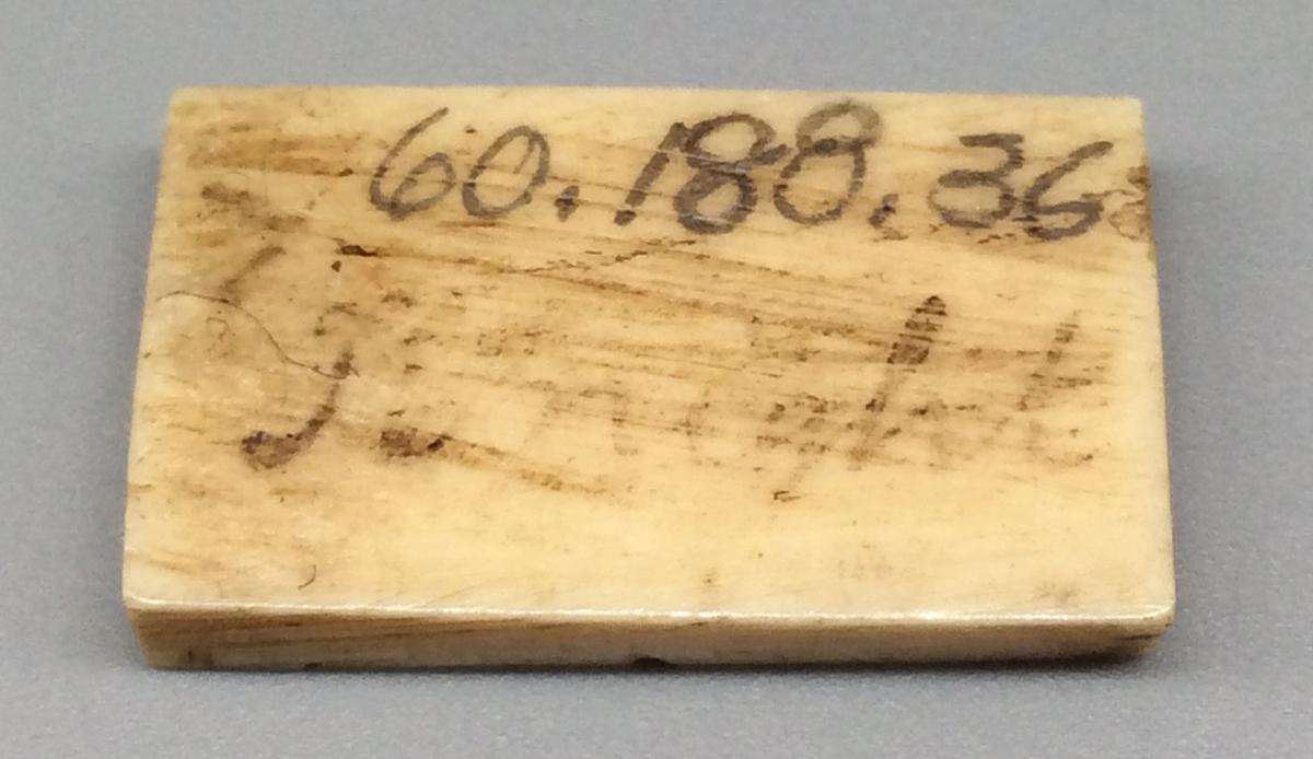 1960.0188.036 Domino, view 2