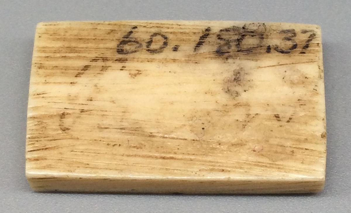 1960.0188.037 Domino, view 2
