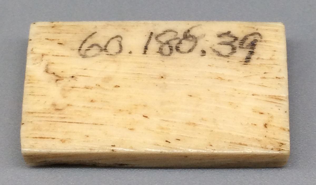 1960.0188.039 Domino, view 2