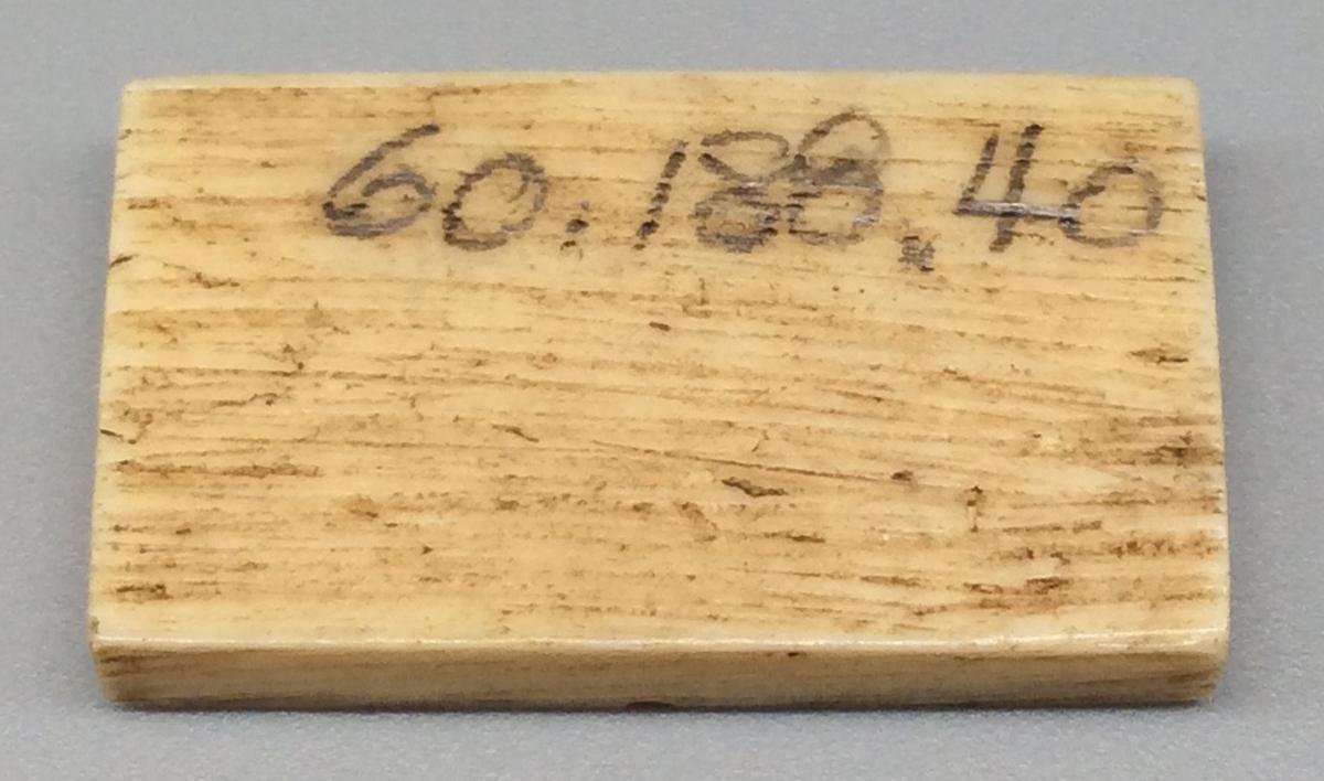1960.0188.040 Domino, view 2