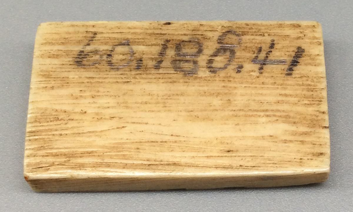 1960.0188.041 Domino, view 2