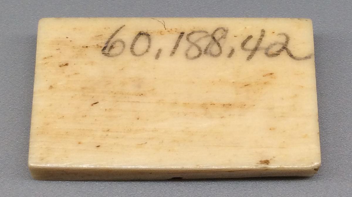 1960.0188.042 Domino, view 2