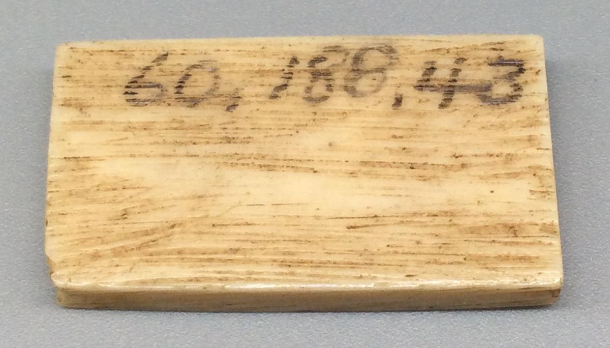 1960.0188.043 Domino, view 2