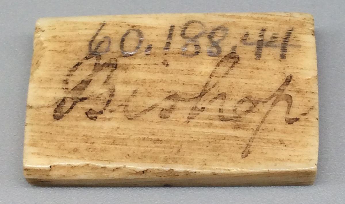 1960.0188.044 Domino, view 2