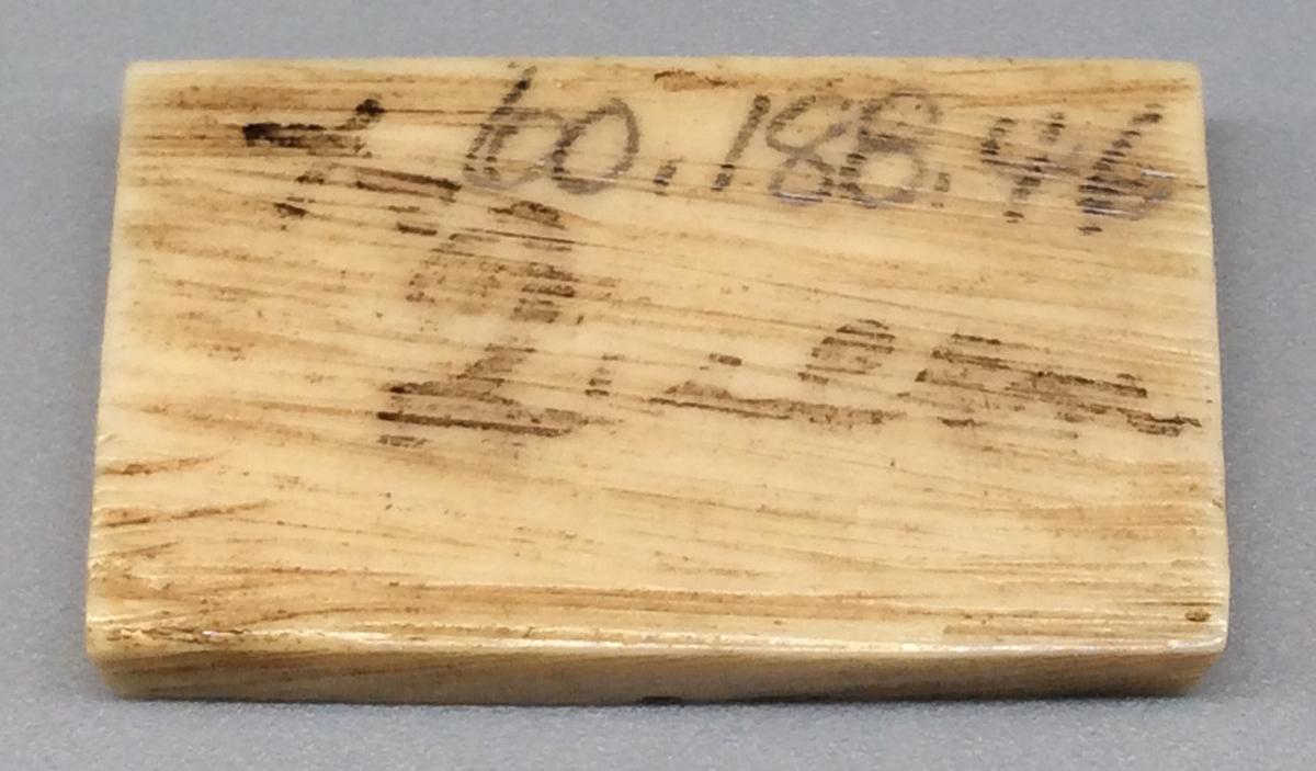 1960.0188.046 Domino, view 2