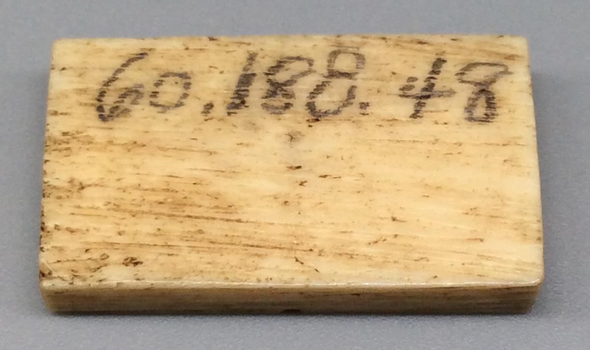 1960.0188.048 Domino, view 2