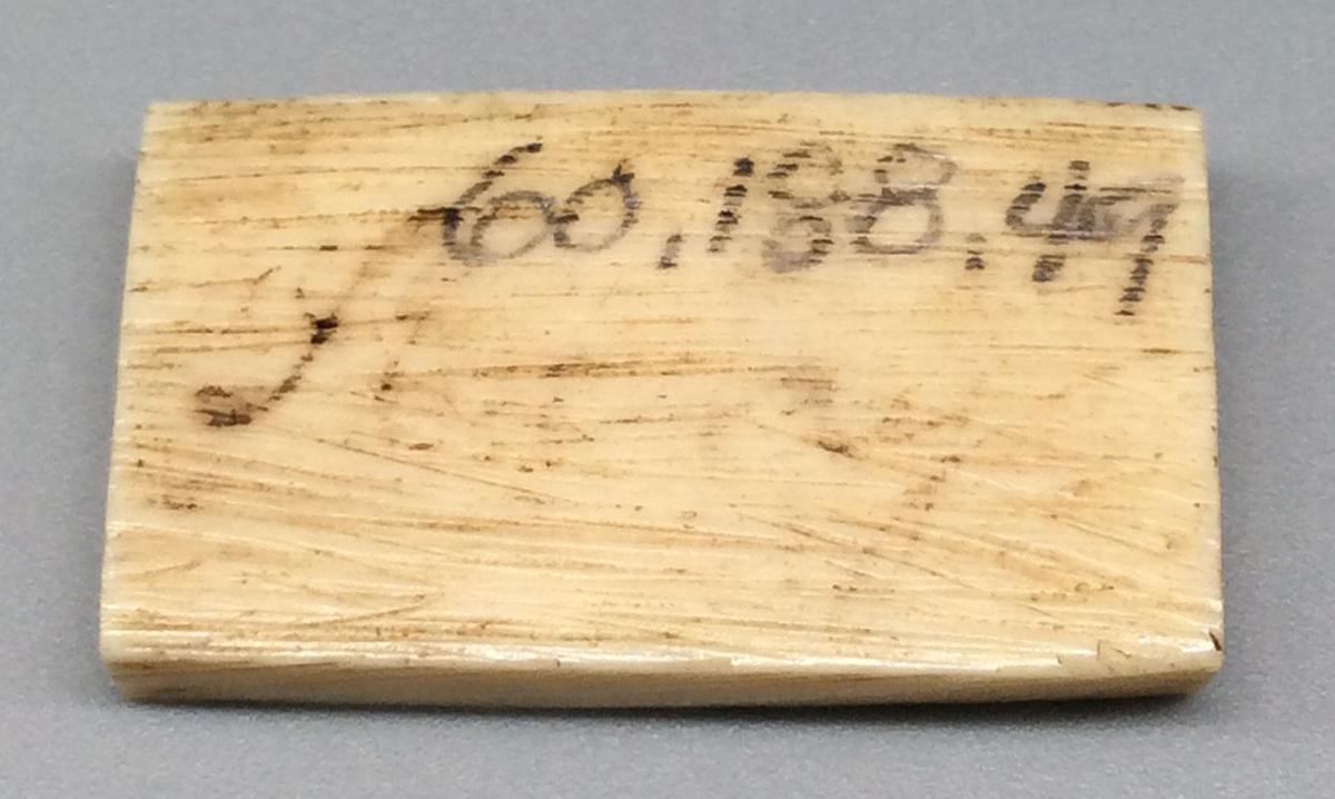1960.0188.049 Domino, view 2