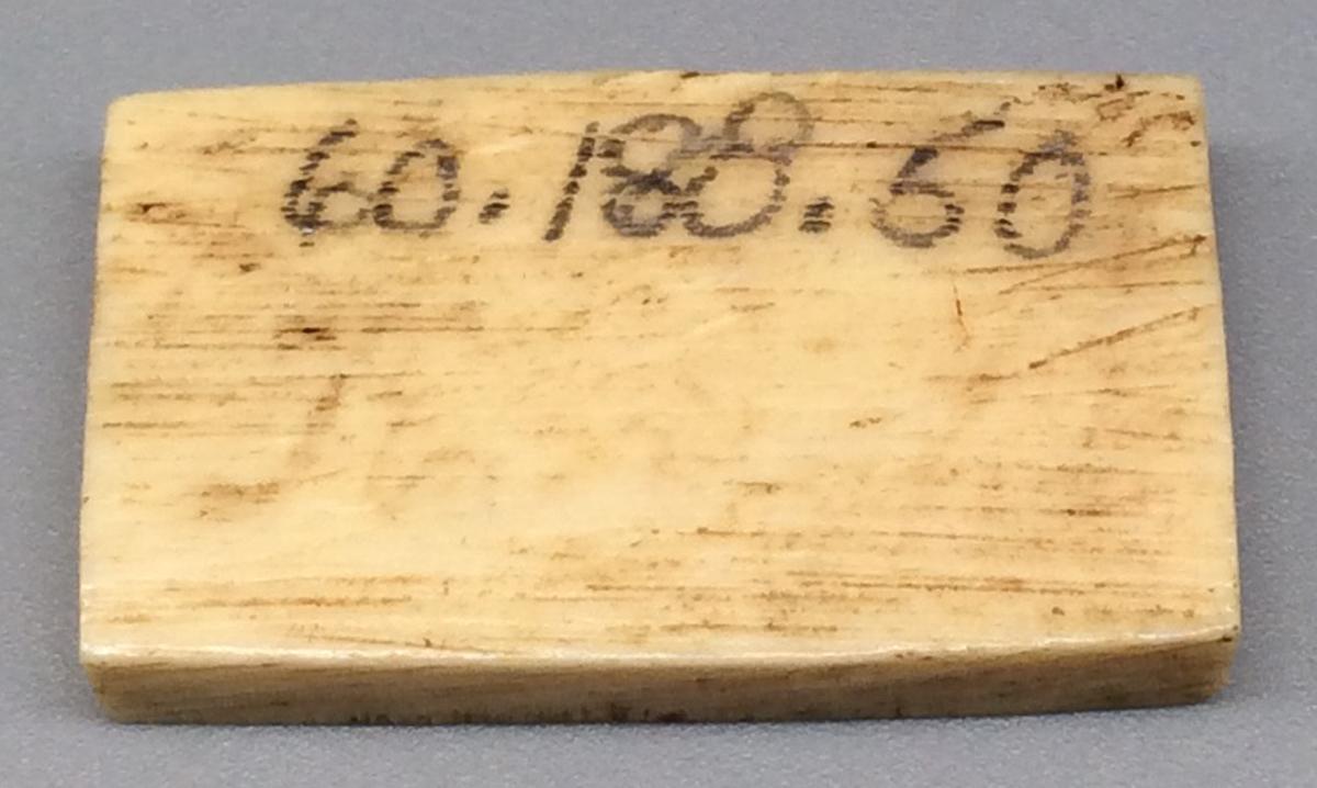 1960.0188.050 Domino, view 2