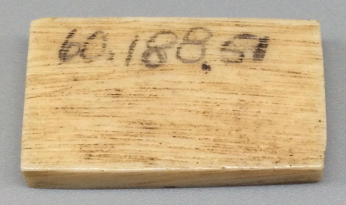 1960.0188.051 Domino, view 2
