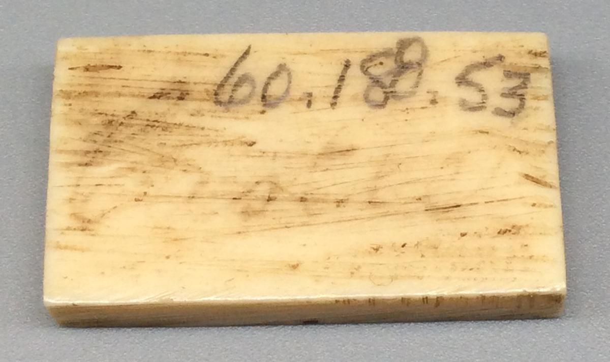 1960.0188.053 Domino, view 2