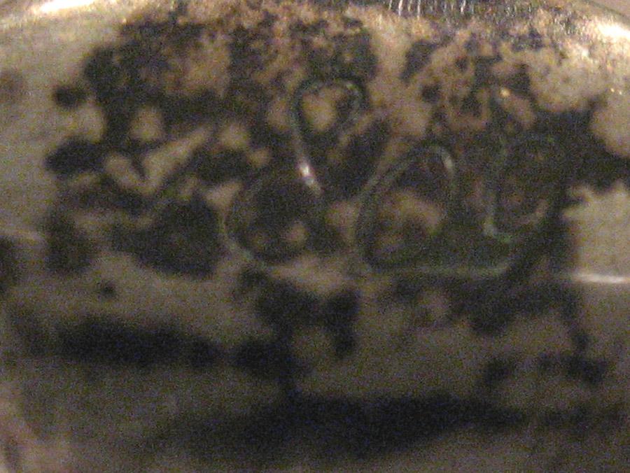 1954.0079.016 Fork (inscription)
