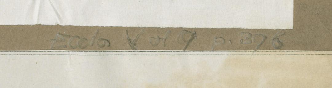 1960.0348.007 Print, detail 2