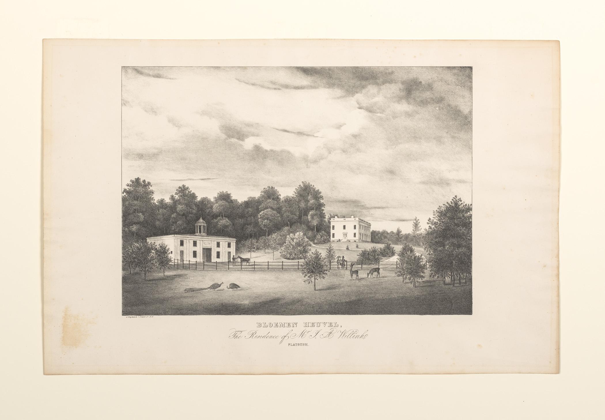 1960.0393.011 A Print, view 1