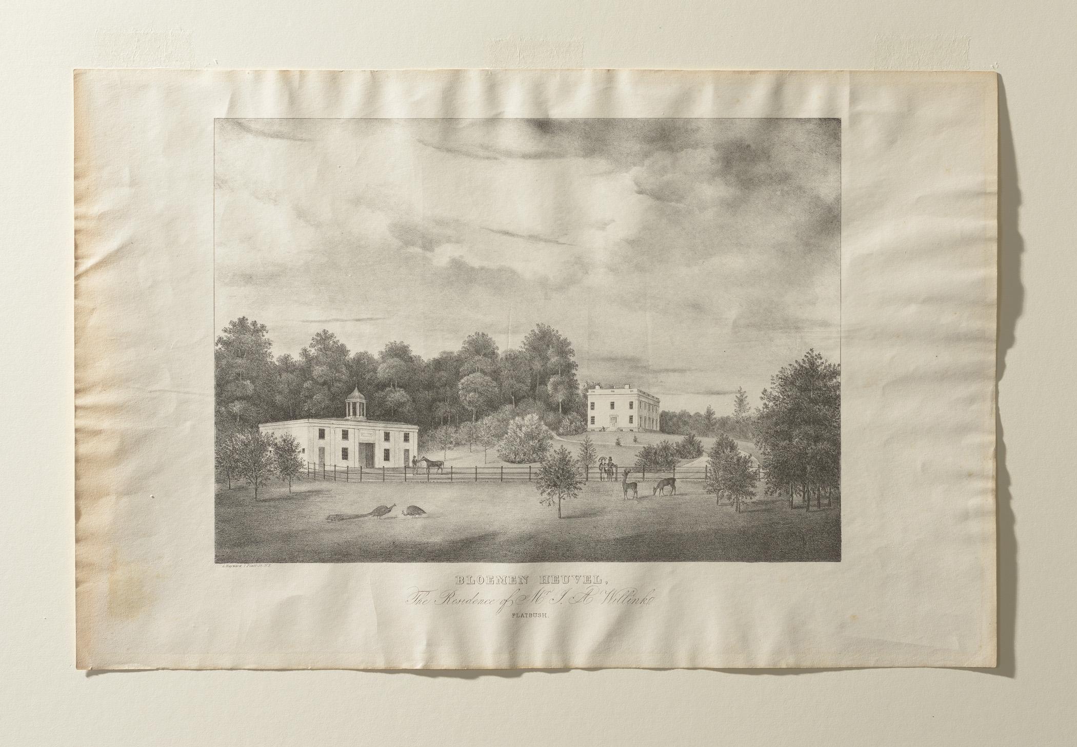 1960.0393.011 A Print, view 2, raking light