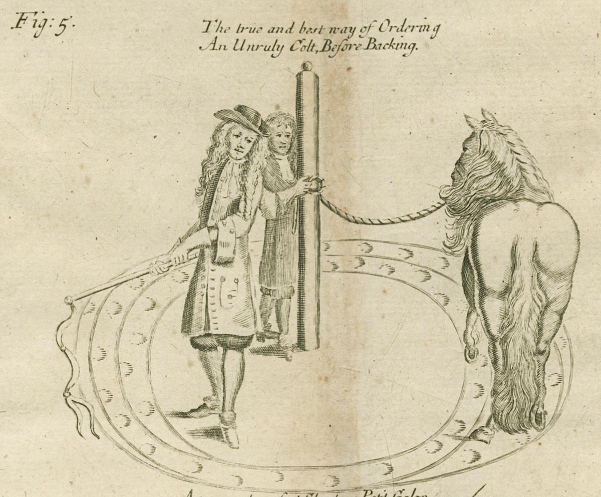 1960.0393.022 Print, detail 7