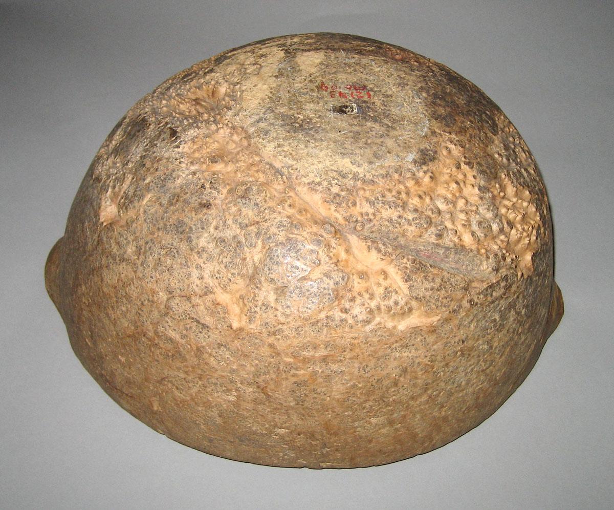 1960.0961 Bowl (bottom)