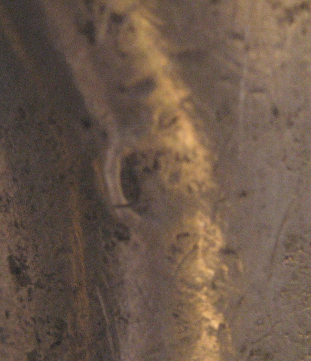 1960.0997 Tankard (mark 3)