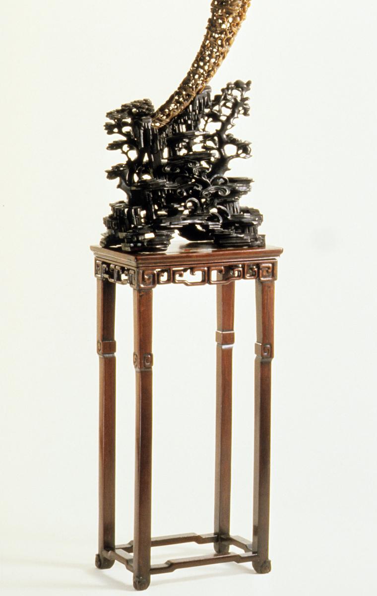 1960.1042 Rhinoceros Horn on Stand