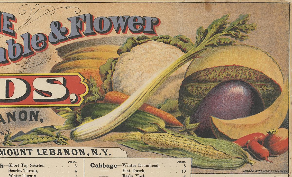 1961.0080 Label, Detail 3