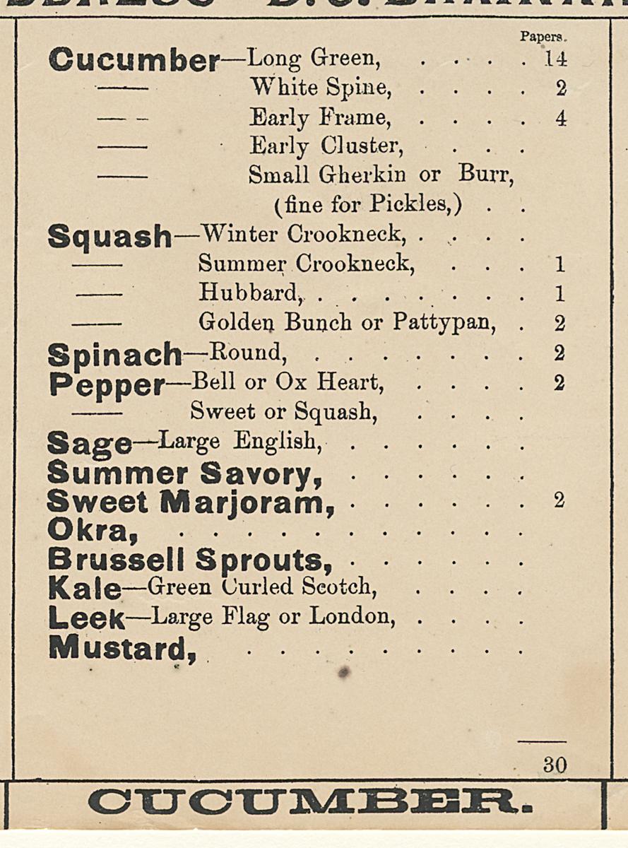 1961.0080 Label, Detail 6