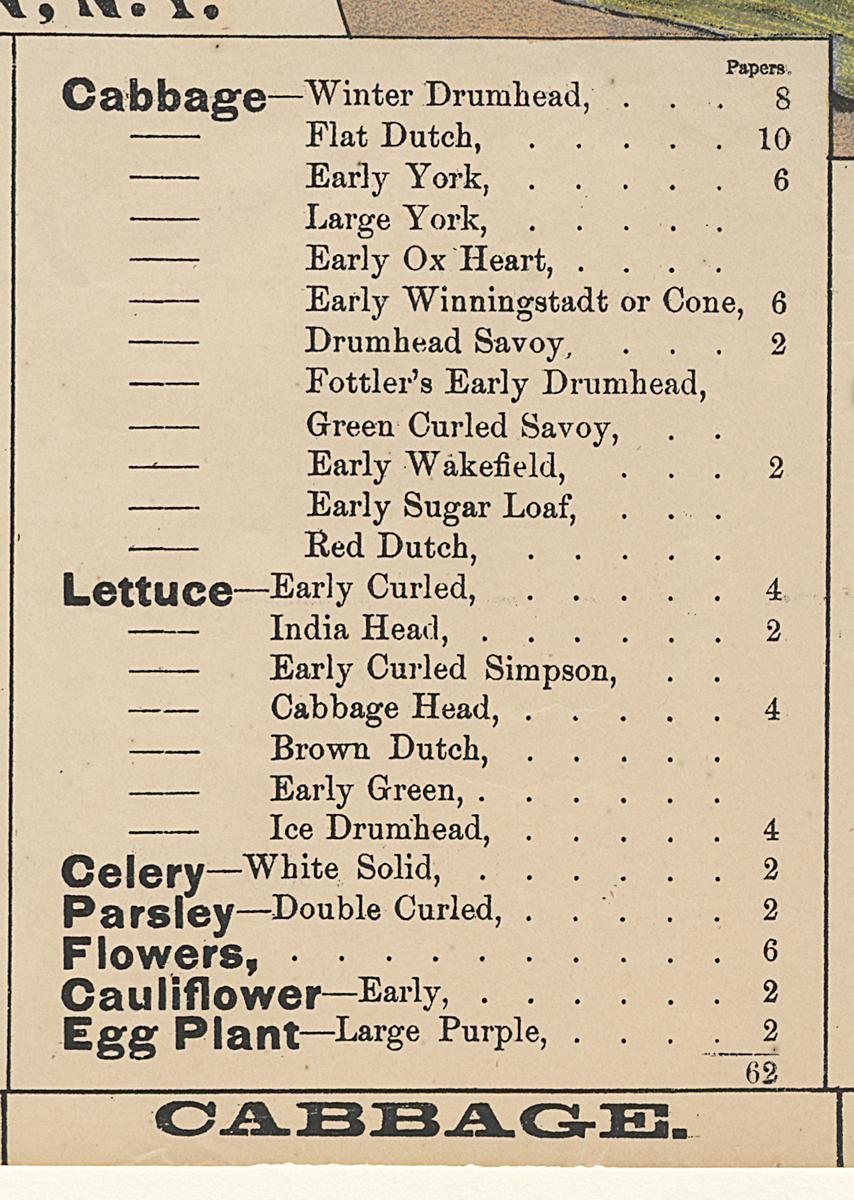 1961.0080 Label, Detail 8