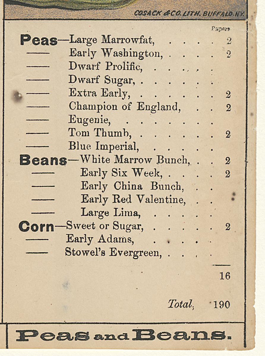 1961.0080 Label, Detail 9