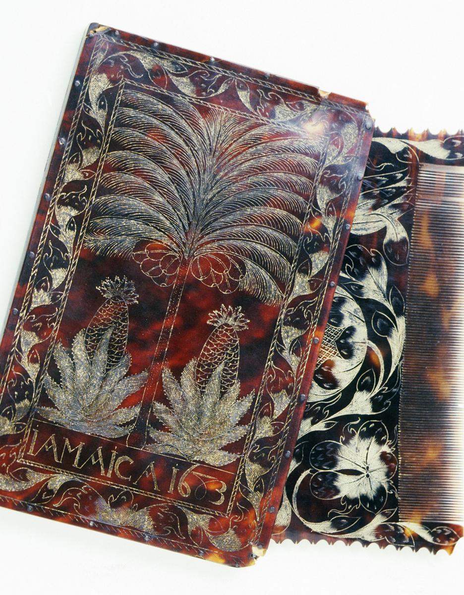 1961.0324 A, B Comb and Case, View 6