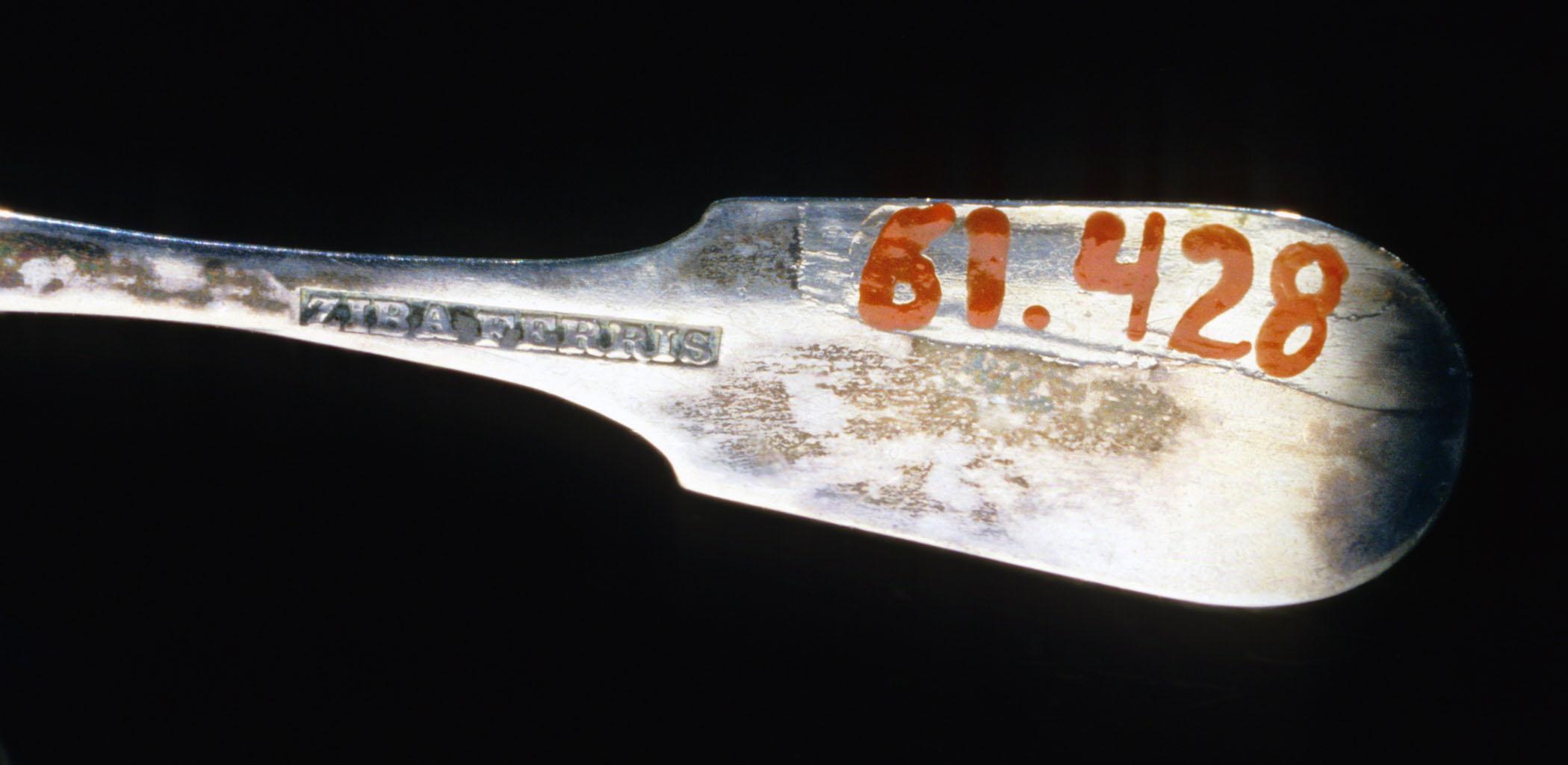 1961.0428 Spoon, Salt spoon, detail 1