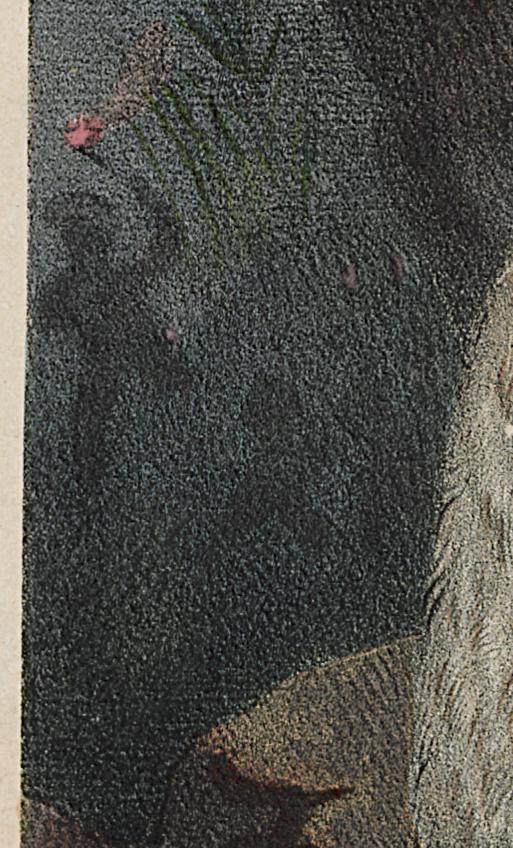 1961.0489 Print, Detail 6