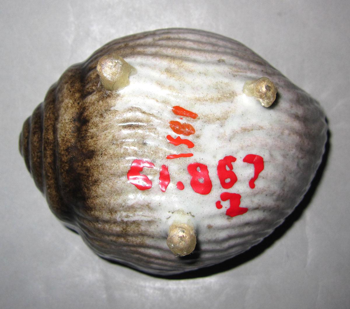 1961.0867.002 Porcelain shell dish underside