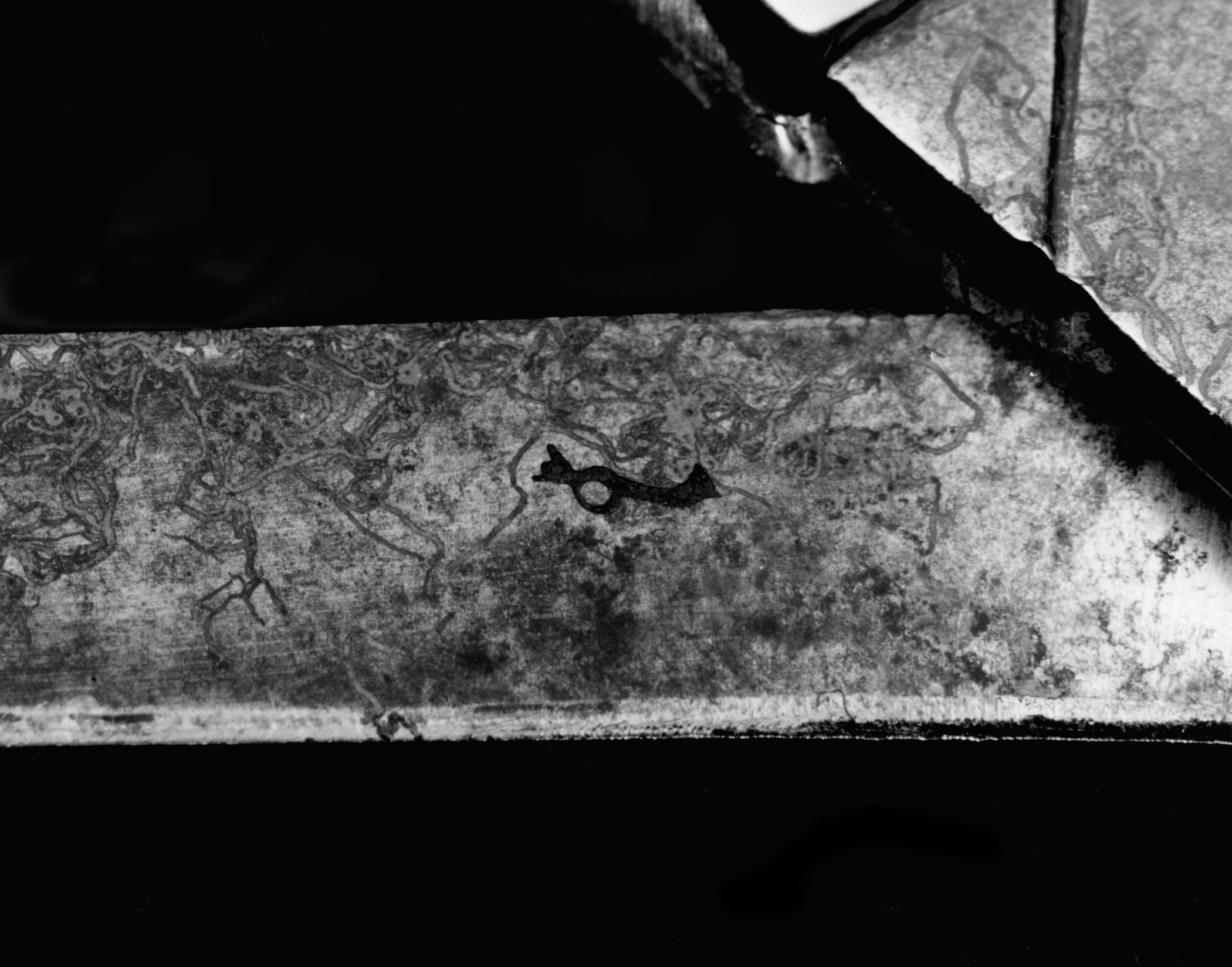 1961.1172 Scissors detail