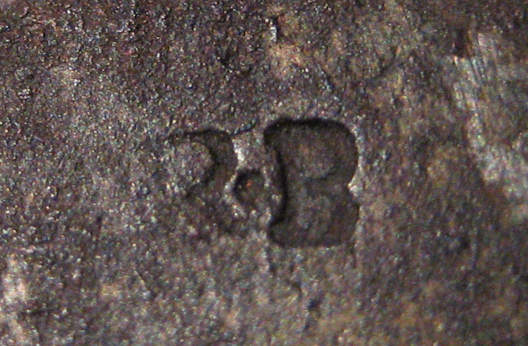 1961.1635 Snuffer (mark)