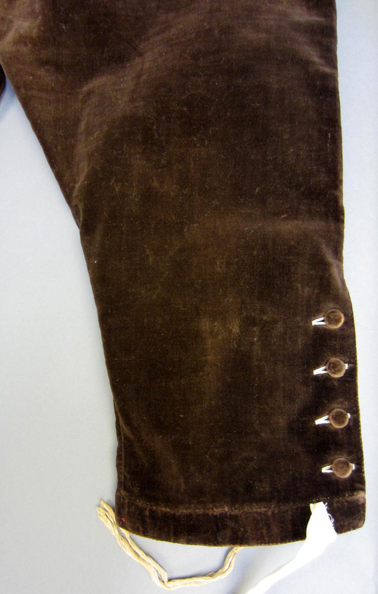 1962.0027 Breeches, Leg