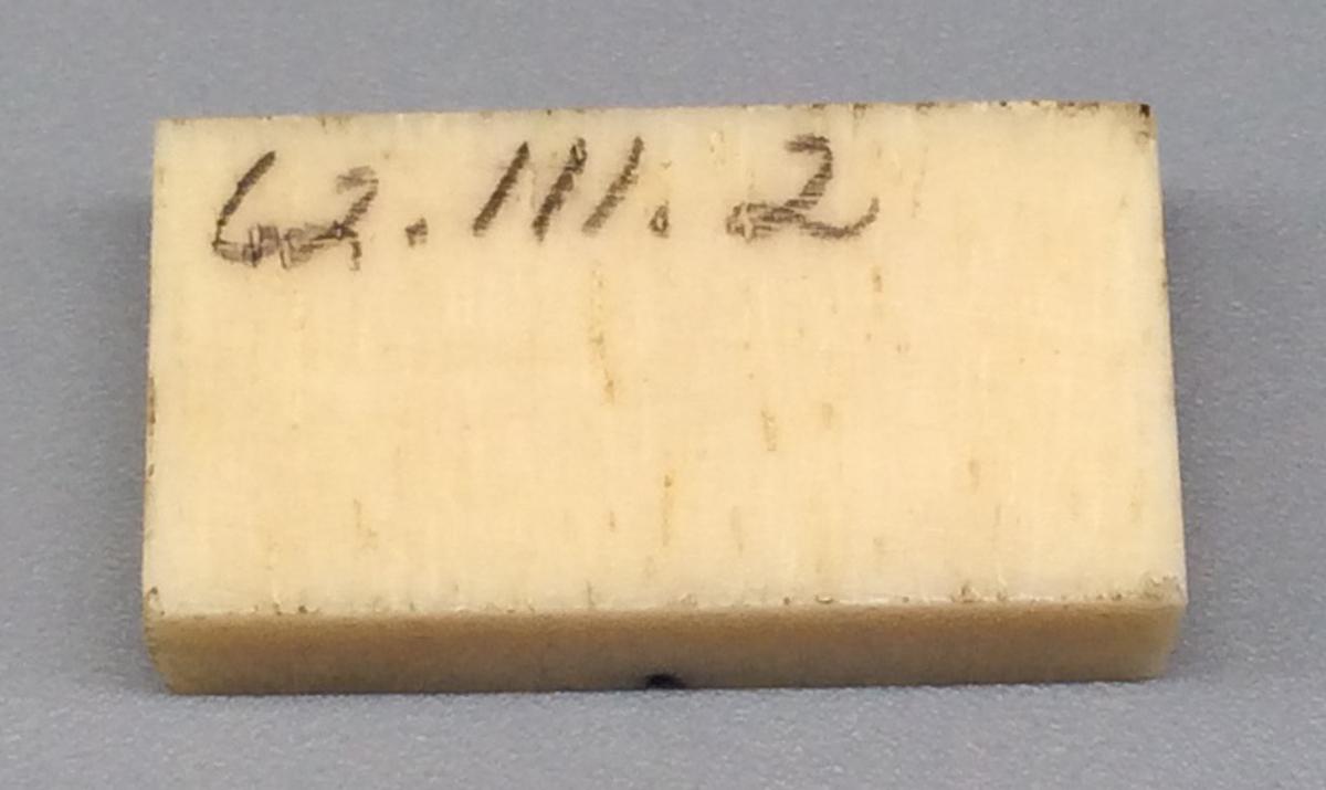 1962.0111.002 Domino, view 2