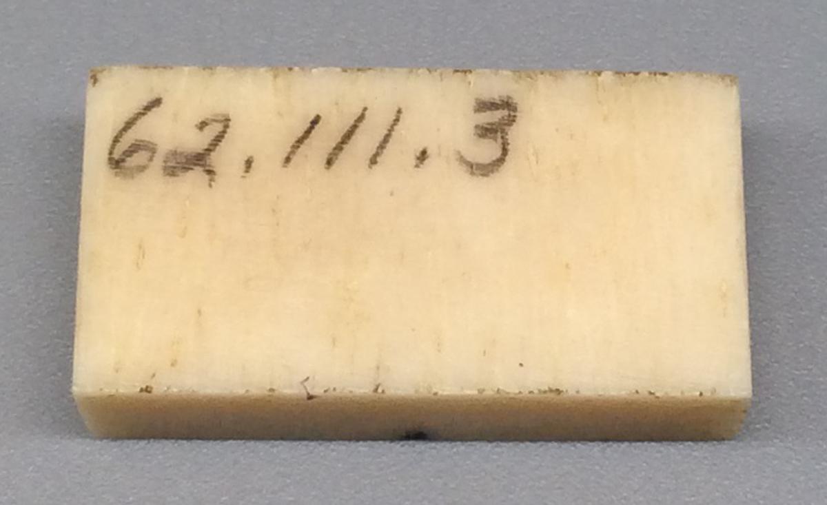 1962.0111.003 Domino, view 2